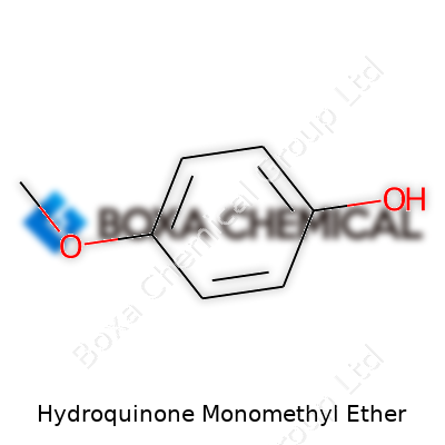 Hydroquinone Monomethyl Ether